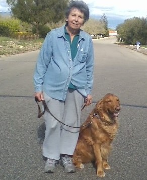 Lady With Dog On The Road